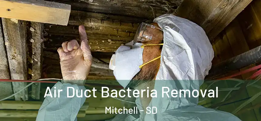 Air Duct Bacteria Removal Mitchell - SD