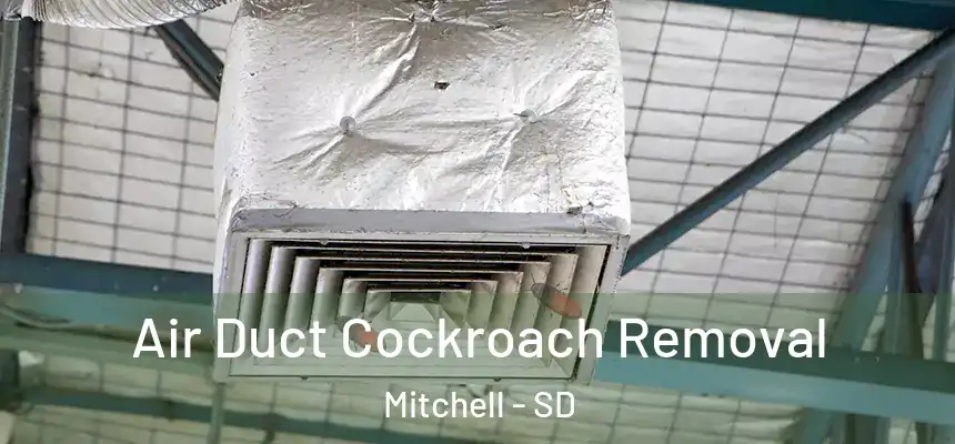  Air Duct Cockroach Removal Mitchell - SD