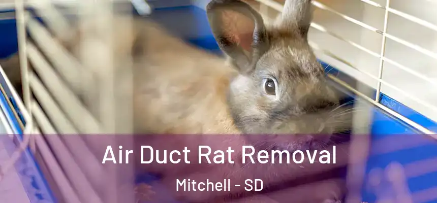  Air Duct Rat Removal Mitchell - SD