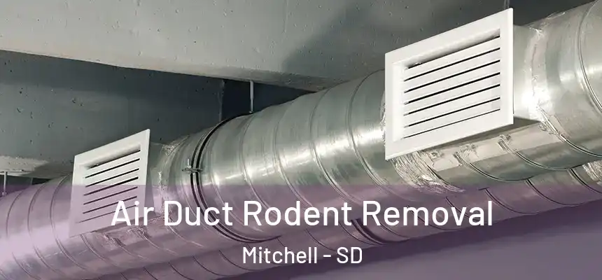 Air Duct Rodent Removal Mitchell - SD