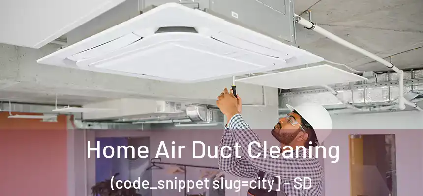  Home Air Duct Cleaning (code_snippet slug=city] - SD