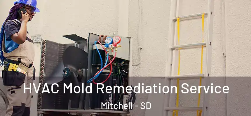 HVAC Mold Remediation Service Mitchell - SD