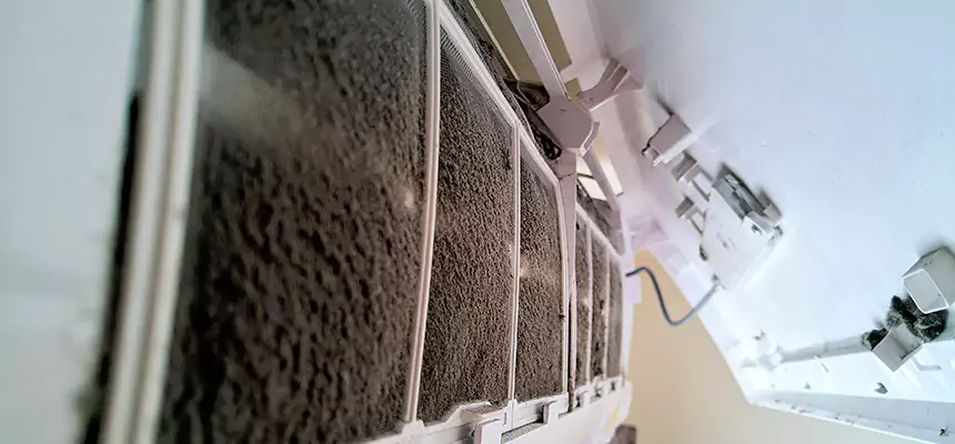 Preventive Air Duct Bacteria Removal in Mitchell