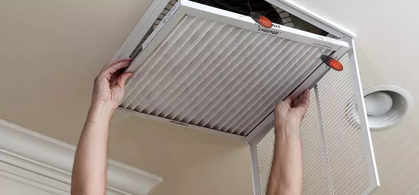 Preventive Cockroach-Proofing for Ducts in Mitchell