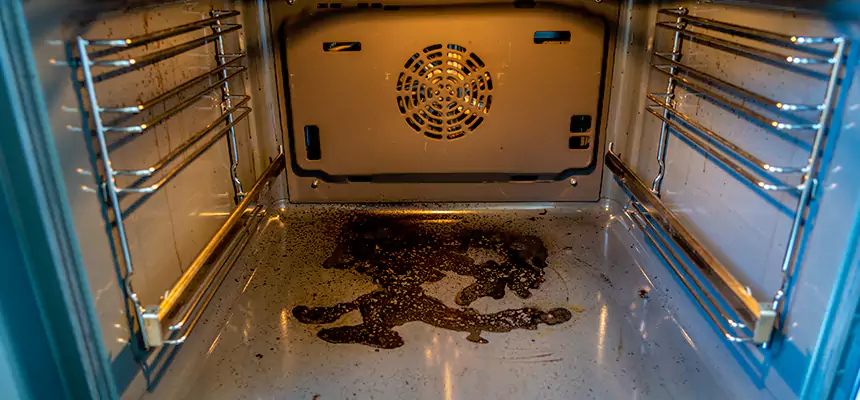 Our Dryer Vent Mold Cleaning Services in Mitchell, SD