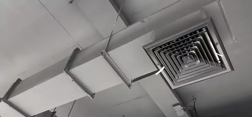 Our Rodent Droppings In Vents Services in Mitchell, SD