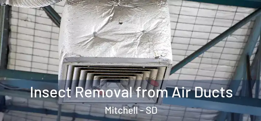 Insect Removal from Air Ducts Mitchell - SD