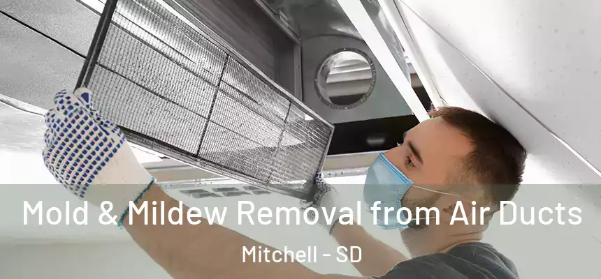 Mold & Mildew Removal from Air Ducts Mitchell - SD