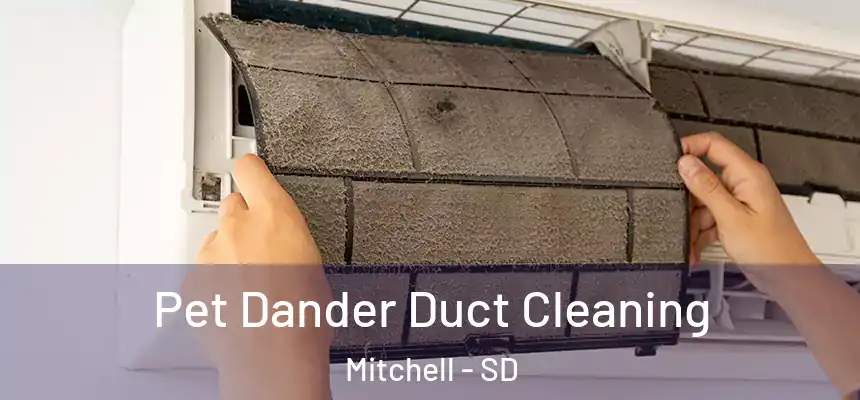  Pet Dander Duct Cleaning Mitchell - SD