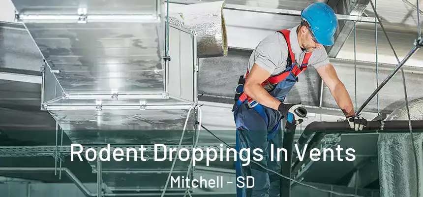  Rodent Droppings In Vents Mitchell - SD