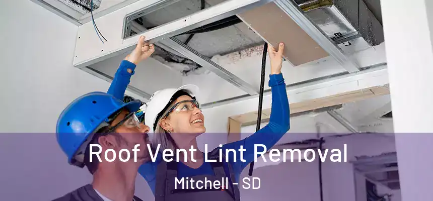  Roof Vent Lint Removal Mitchell - SD