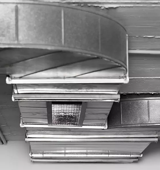 Professional Air Duct Pest Removal in Mitchell, SD