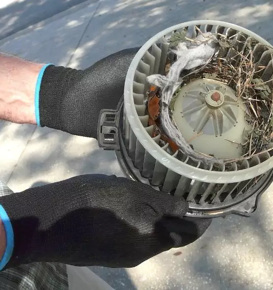 About Air Duct Rat Removal in Mitchell, SD