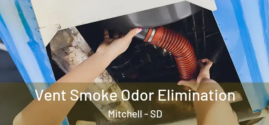 Vent Smoke Odor Elimination Mitchell - SD